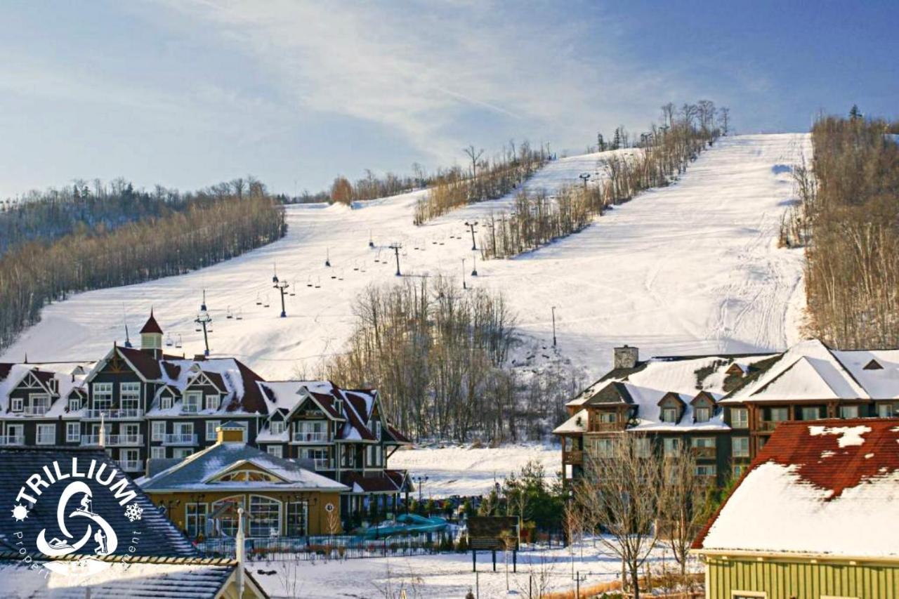 Mountainview Loft At North Creek Resort بلو ماونتينز المظهر الخارجي الصورة